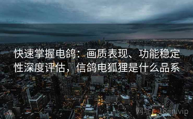 快速掌握电鸽：画质表现、功能稳定性深度评估，信鸽电狐狸是什么品系