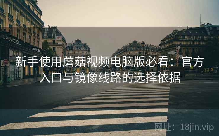 新手使用蘑菇视频电脑版必看：官方入口与镜像线路的选择依据