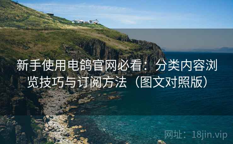 新手使用电鸽官网必看：分类内容浏览技巧与订阅方法（图文对照版）