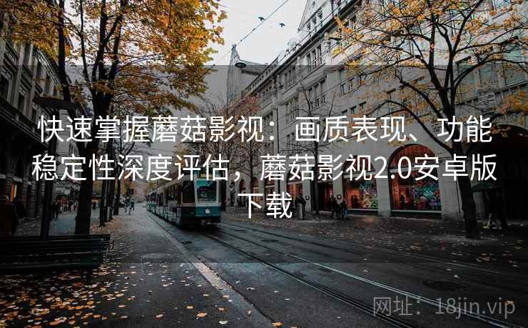 快速掌握蘑菇影视：画质表现、功能稳定性深度评估，蘑菇影视2.0安卓版下载