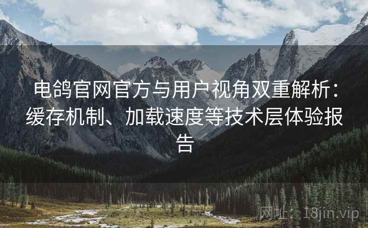 电鸽官网官方与用户视角双重解析：缓存机制、加载速度等技术层体验报告