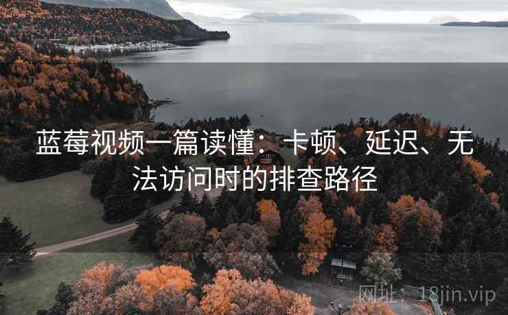 蓝莓视频一篇读懂：卡顿、延迟、无法访问时的排查路径
