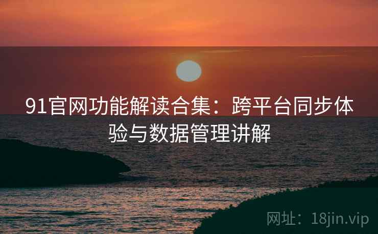 91官网功能解读合集：跨平台同步体验与数据管理讲解