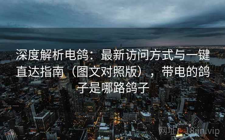 深度解析电鸽：最新访问方式与一键直达指南（图文对照版），带电的鸽子是哪路鸽子