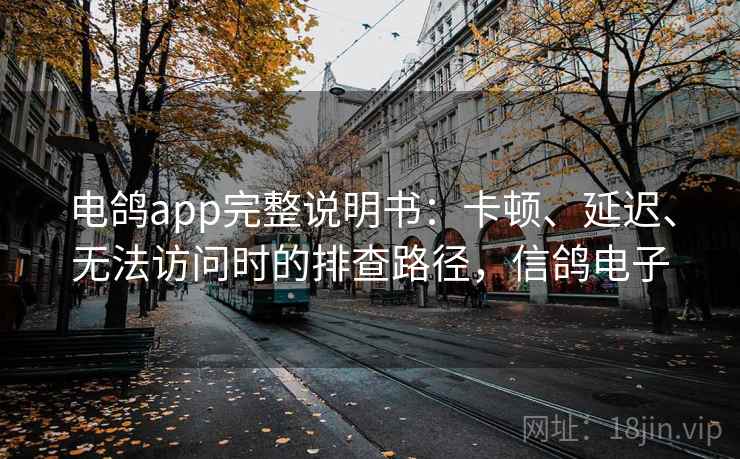 电鸽app完整说明书：卡顿、延迟、无法访问时的排查路径，信鸽电子